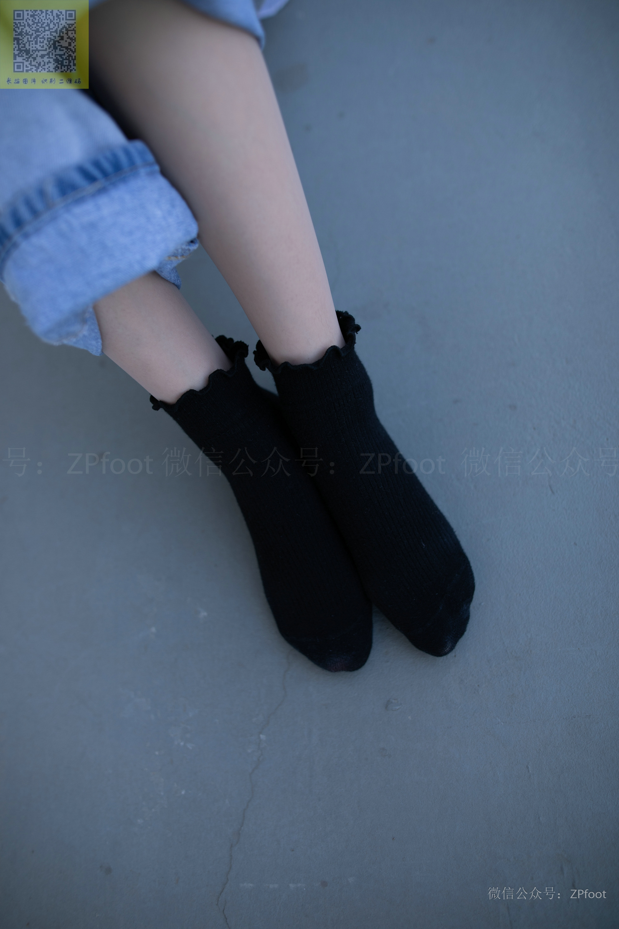 ISS山茶摄影 024 鑫鑫库里丝